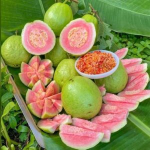 Thaivan pink koyya live plant, guavalive plant, so very tasty fruit plant